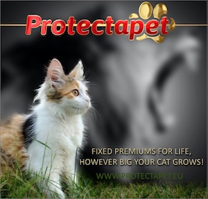 Cat and Lion advertising Fixed Premiums for Life with Protectapet Healthcare Plans in Spain.